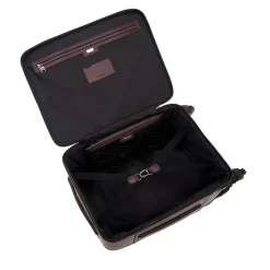 360 Brown Rum Leather Cabin Bag