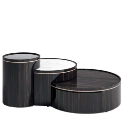 3 in 1 Coffee Table in Ebony