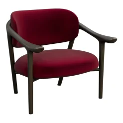 Aida Brown & Ruby-Red Lounge Chair by Libero Rutilo