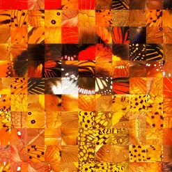 Ali Puzzling Pop Print Series 2020