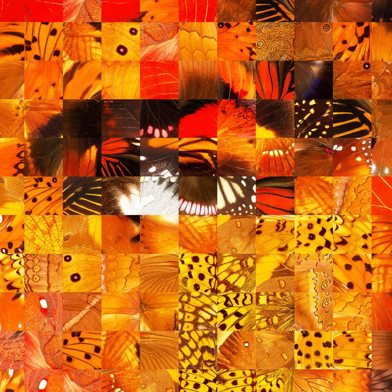 Ali Puzzling Pop Print Series 2020