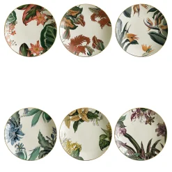Animalia Set Of 6 Porcelain Soup Plates With Exotic Animals