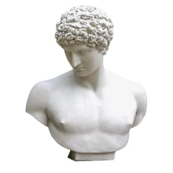 Antinous Plaster Bust