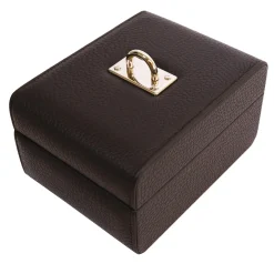 Arc Black Watch Box