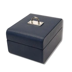 Arc Watch Box