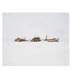 Arctic Obsession Photograph