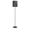 Arminium Black Floor Lamp