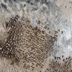 Atalanta Textured Resin Diptych