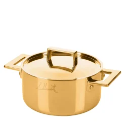 Attiva Gold 24 cm Casserole with Lid