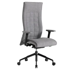 Beauté A Grey Armchair