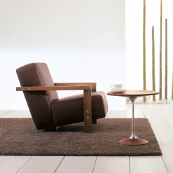 Berbena Brown Armchair by Riccardo Arbizzoni