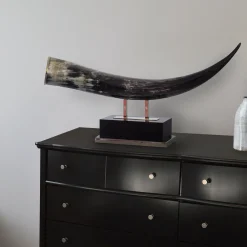 Black Horn Sculpture