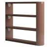 Bookcase With Lacquered Structure