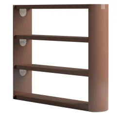 Bookcase With Lacquered Structure