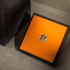 Bruto Dark-Brown Box