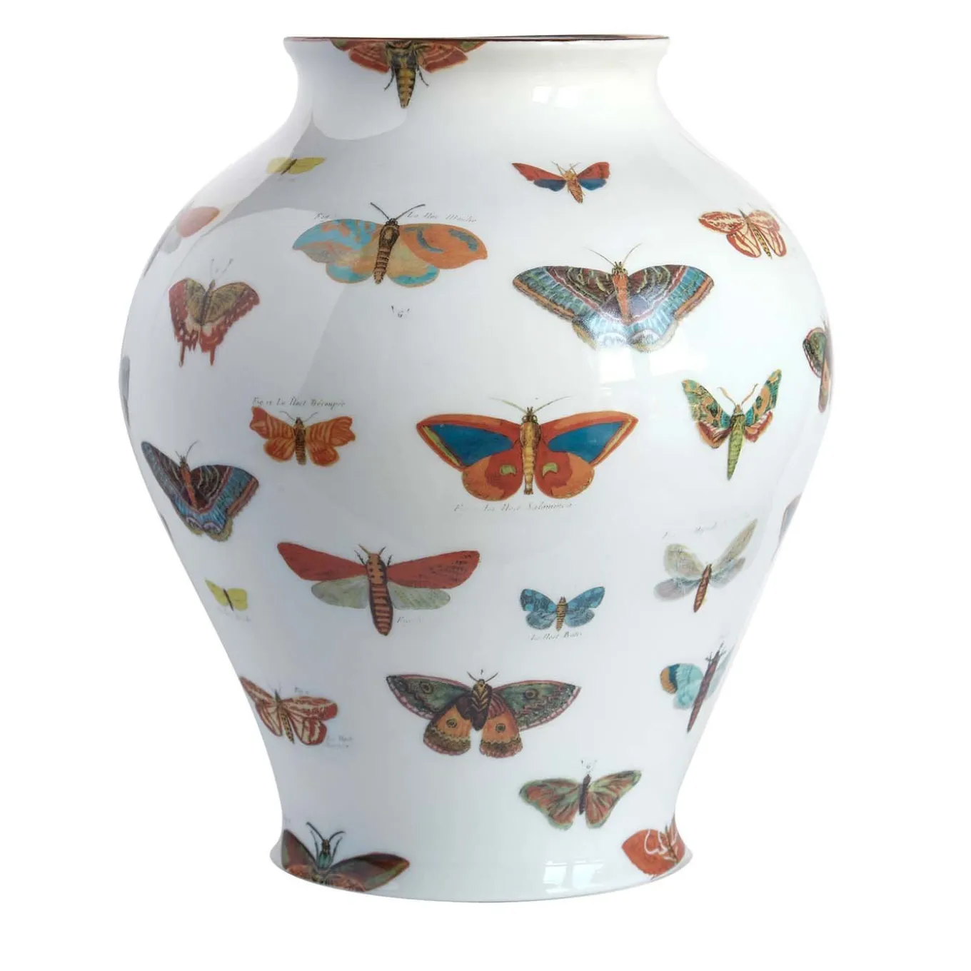 Butterflies Amphora Porcelain Vase H27Cm