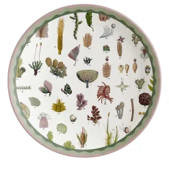 Cabinet De Curiosités Porcelain Dinner Plate With Seaweed