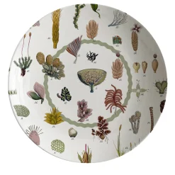 Cabinet De Curiosités Porcelain Soup Plate With Seaweed