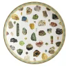 Cabinet De Curiosités Porcelain Charger Plate With Minerals