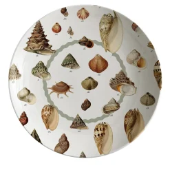 Cabinet De Curiosités Porcelain Soup Plate With Shells