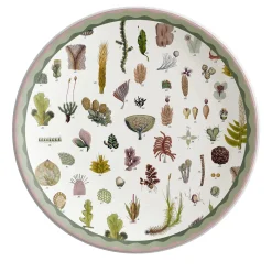 Cabinet De Curiosités Porcelain Charger Plate With Seaweed