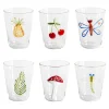 Cabinet De Curiosités Set Of 6 Water Glasses With Natural Elements