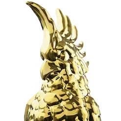 cacatua Orange Parrot