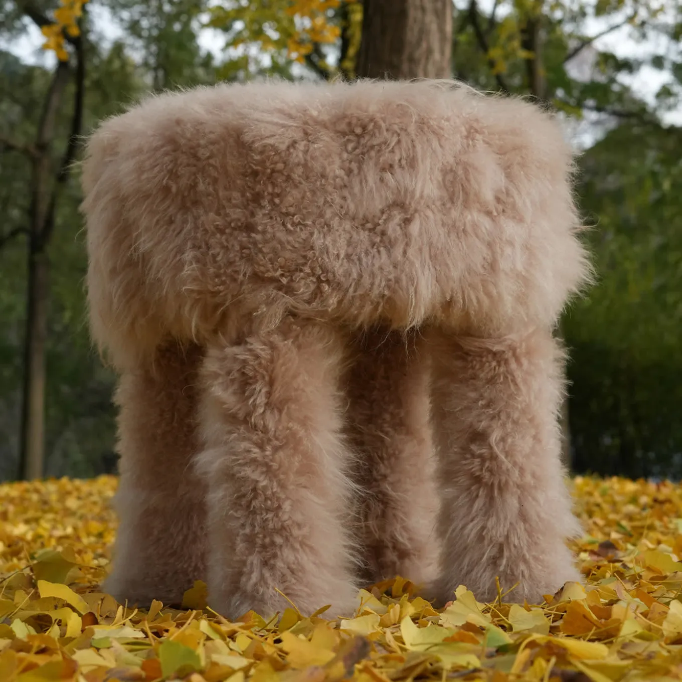 Cachemire Fur Pouf by Lorenza Bozzoli