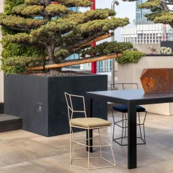 Cappuccino Cushioned Chair