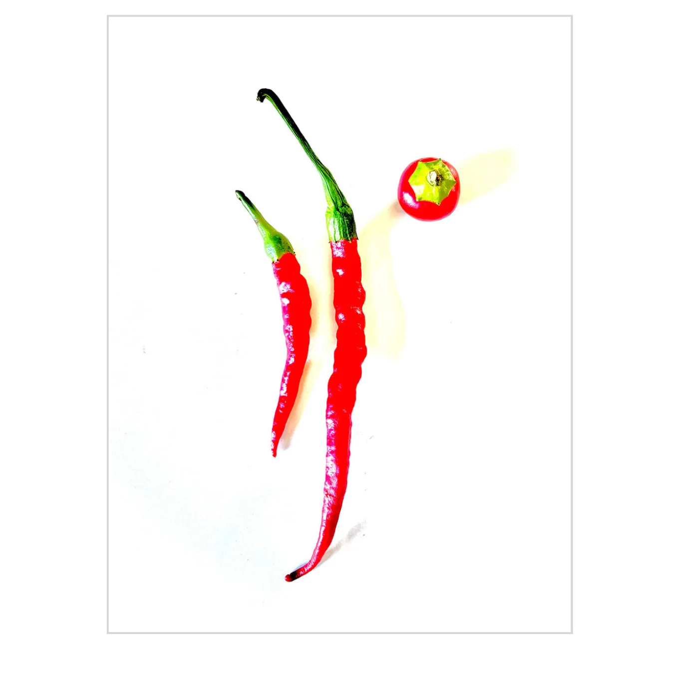 Capsicum 1.3 Digital Drawing