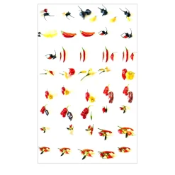 Capsicum Accademici Digital Drawing