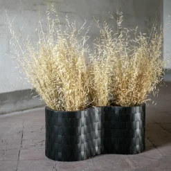 Carex Black Cachepot