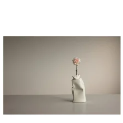 Carnation in Bassano Limited Edition Photograph #1