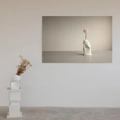 Carnation in Bassano Limited Edition Photograph #1