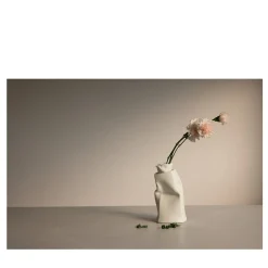 Carnations in Bassano Limited Edition Photograph