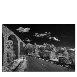 Carpareccia Photograph