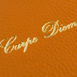 Carpe Diem Set of 2 Orange Journal