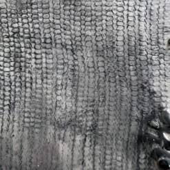 Cassiopea Decorative Plate