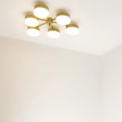 Celeste Phosphenes Ceiling/Wall Light