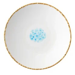 Celestial Set of 2 Soup Plates with Crackled Rim