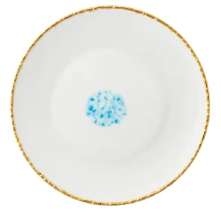 Celestial Set of 2 White Dinner Plates with Crackled Rim