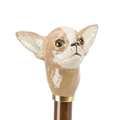 Chihuahua Umbrella with Dots