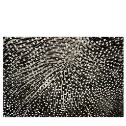 Chiodi #4 Photograph