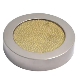 Circular Light-Green Shagreen Leather Paperweight by Nino Basso