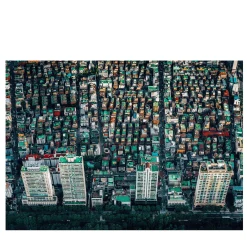 Concrete Jungle Photographic Print