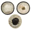 Crateri Set of 3 Brown and White Bowls
