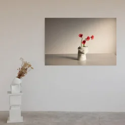 Daisies in Pove Limited Edition Photograph