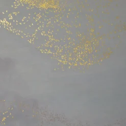 Dancing Soaring Light Painting