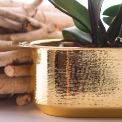 Davanzale Window Box