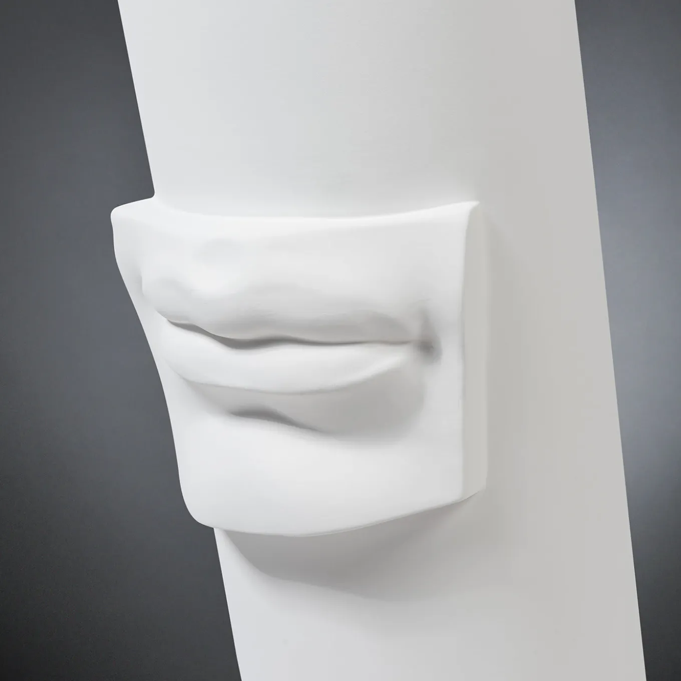 David's Lips White Vase